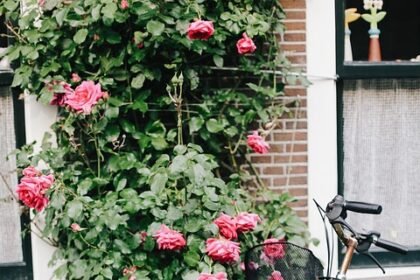 Portugal’s Natural Canvas: A Guide to the Most Instagrammable Locations