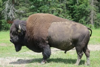 Local Secrets: Hidden Retreats in Portugal Worth Exploring