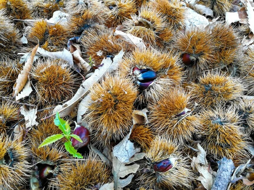 Hidden Gems of Portugal: Travel Tips to Go Beyond the Tourist Trail