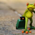 Whispers of the Past: Exploring Portugal’s Historic Villages Off the Beaten Path