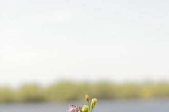 Portugal’s Best-Kept Secrets: Your Ultimate Guide to Hidden Spots