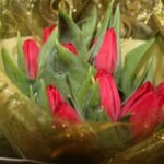 Unveiling Portugal’s Natural Beauty: A Journey through Captivating Landscapes